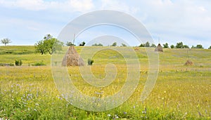 A stack of hay