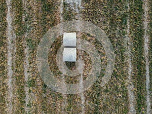 A stack of hay. Ripe grain field top view or drone shot. Harvesting period banner. Aerial view of ear of wheat, rye