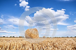 A stack of hay on the summer field.