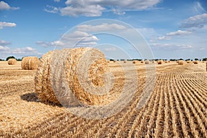 A stack of hay on the summer field.