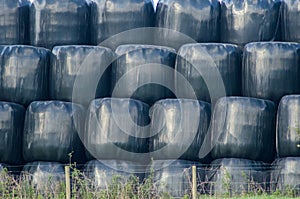 A stack of haylage bales