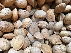 Stack of hazelnut. Hazelnut background