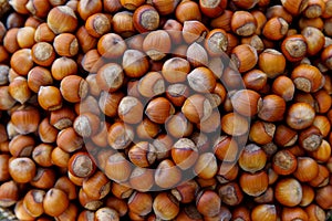 Stack of hazelnuts. Hazelnut background