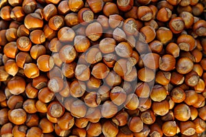 Stack of hazelnuts. Hazelnut background