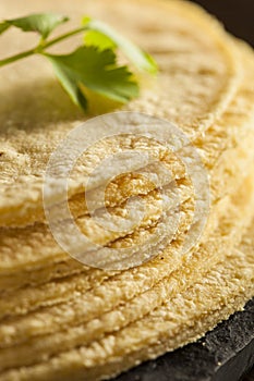 Stack of Homemade Corn Tortillas