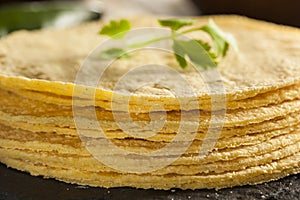 Stack of Homemade Corn Tortillas
