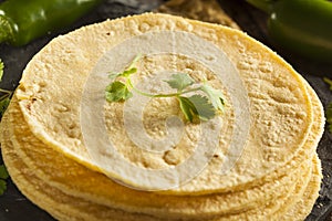 Stack of Homemade Corn Tortillas