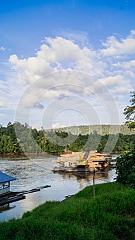 stack of huge timber on a barge in the river surrounded by green vegetation