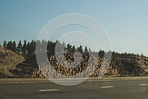 Stack of logs lying on the side of the road. big pile of timber