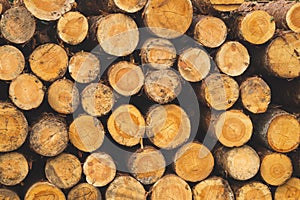 Stack of logs. natural wooden background with timber. log wall
