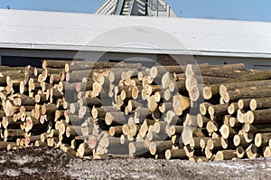 Stack of logs by sawmill