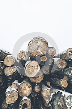 Stack of logs in a snow covered pile. Vertical layout