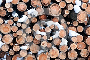 Stack of logs in winter