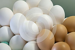 Stack of many white & brown chicken eggs