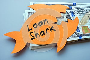 A stack of money and a paper fish with an inscription loan shark.