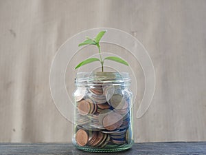 Stack of money, rows of coins for finance,coins in glass jar