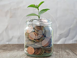 Stack of money, rows of coins for finance,coins in glass jar