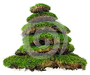 Stack of moss clumps isolated on white background. Green mossy hill