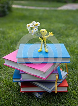 stack of multi-colored books lies on grass, on it stands a souvenir human yellow figurine with chamomile flowers