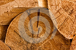 Stack of natural wooden logs. pile wood cut background