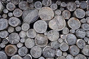 Stack of old birch chocks