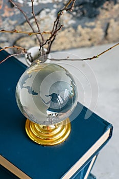 Stack of old books, branches in vase, glass globe, grunge brick