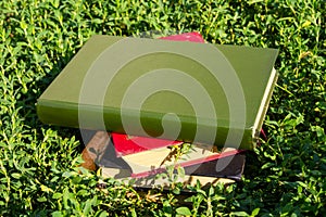 Stack of old books on green grass