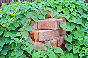 Stack of old brick in plant