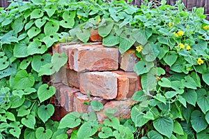 Stack of old brick in plant