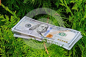 Stack of one hundred dollar bills on christmas tree.