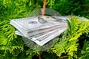 stack of one hundred dollar bills on christmas tree.