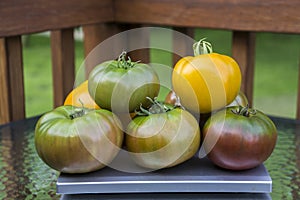 Stack Of Organic Heirloom Tomatoes