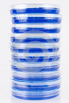 Stack of Petri Dishes