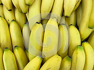 Stack pile of fresh yellow bananas at a grocery produce fruit stand in natural sunlight