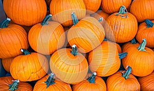 Stack of pumpkins in a Halloween display