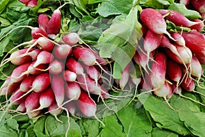 Stack of radishes on a market stall