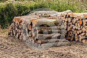 Stack of raw wooden lumber on the grass by the forest. Industry concept with lumberyard and wood. Pile of lumber