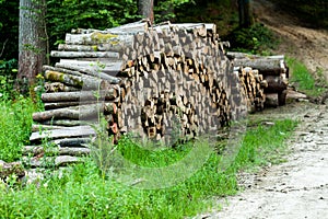 Stack of raw wooden lumber on the grass by the forest. Industry concept with lumberyard and wood. Pile of lumber