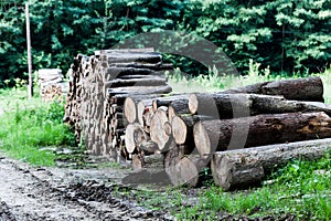 Stack of raw wooden lumber on the grass by the forest. Industry concept with lumberyard and wood. Pile of lumber