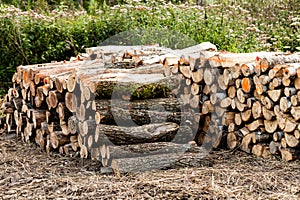 Stack of raw wooden lumber on the grass by the forest. Industry concept with lumberyard and wood. Pile of lumber