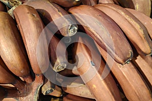 Stack of Red bananas on a market stall