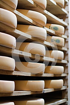 Stack of refining and aging cheese, French Comte wheels, France