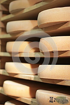 Stack of refining Comte cheese wheels on wood shelves, France