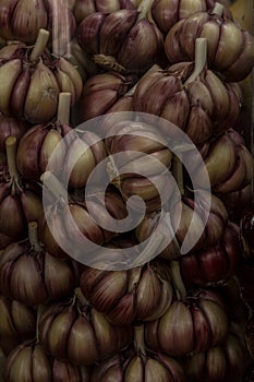 Stack of ripe garlic at market stall. Sao Paulo, Brazil