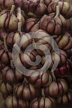 Stack of ripe garlic at market stall. Sao Paulo, Brazil