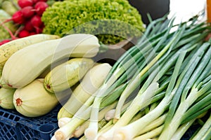 Stack with ripe green onion and squashes on the counter of the Belarussian market