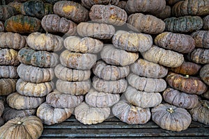 Stack of ripe Thai pumpkin at a farmer`s market.