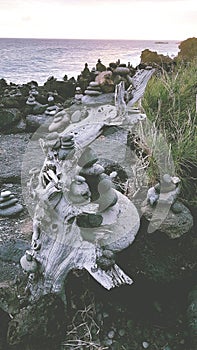 Stack of rocks balancing on white dead trunk