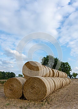 Stack of round bales of straw on a stubble field