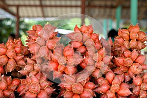 A stack of Salacca in thailand.